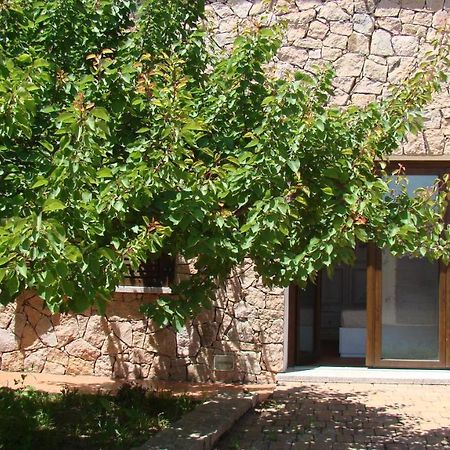 Bella Casa Con Giardino A 10 Minuti Dal Mare Lägenhet Aglientu Exteriör bild
