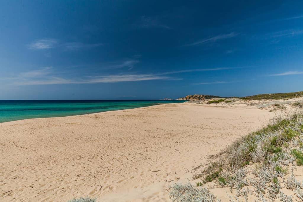 Bella Casa Con Giardino A 10 Minuti Dal Mare Lägenhet Aglientu Exteriör bild