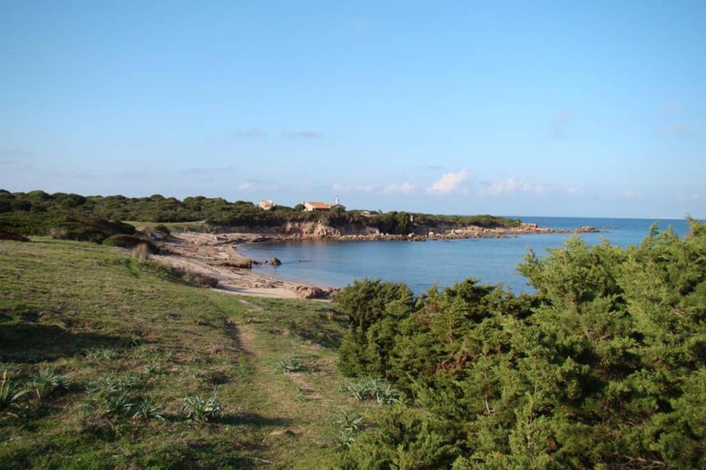 Bella Casa Con Giardino A 10 Minuti Dal Mare Lägenhet Aglientu Exteriör bild
