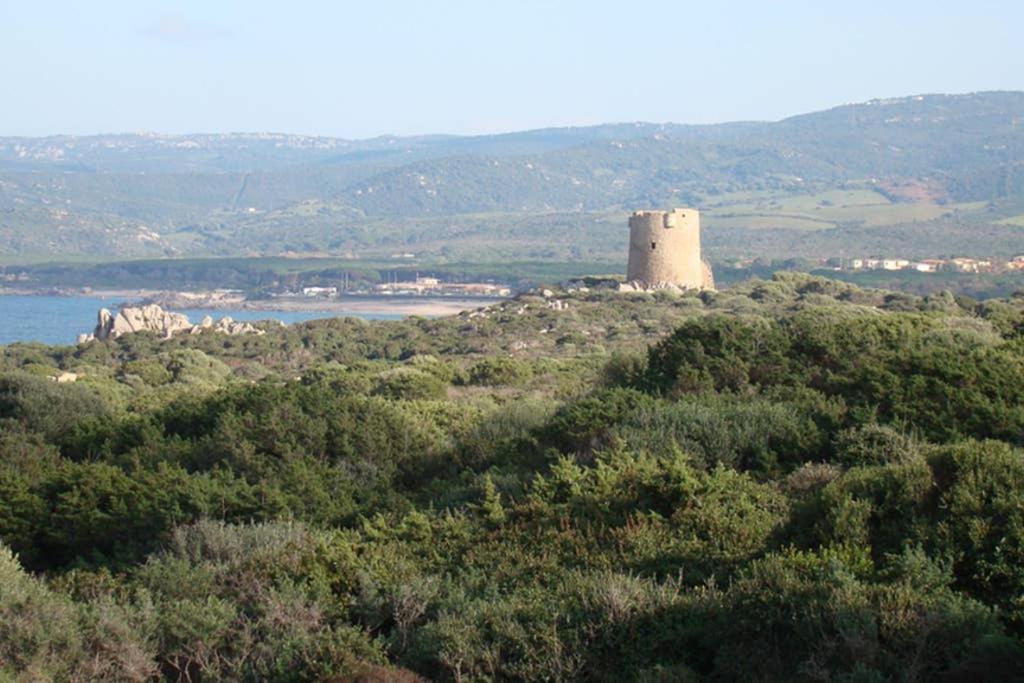 Bella Casa Con Giardino A 10 Minuti Dal Mare Lägenhet Aglientu Exteriör bild