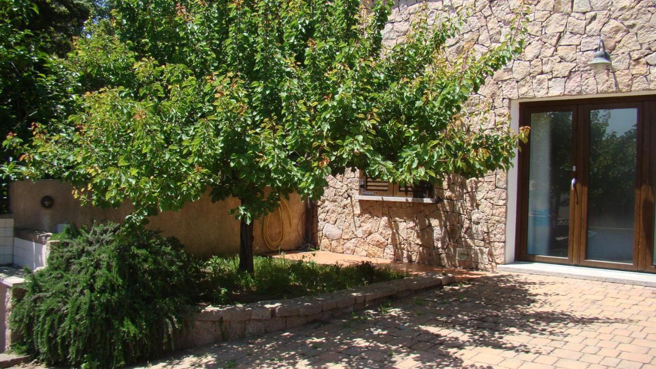 Bella Casa Con Giardino A 10 Minuti Dal Mare Lägenhet Aglientu Exteriör bild